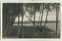 Bad Saarow - Partie Am See - Foto-Ansichtskarte 50er Jahre - Verlag Trinks & Co Leipzig - Bad Saarow