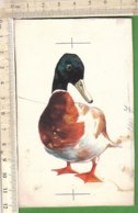 PO8912D# FIGURINA DIPINTA A MANO HAND PAINTED - ANIMALI - UCCELLI - ANATRE DUCK - GERMANO REALE - Animali