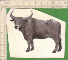 PO8916D# FIGURINA DIPINTA A MANO HAND PAINTED - ANIMALI - BUFALO INDIANO - Tiere