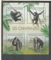 BURUNDI CHIMPANCE SHIMPANZEE FAUNA - Chimpancés