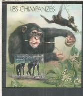 BURUNDI CHIMPANCE SHIMPANZEE FAUNA - Schimpansen