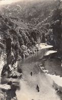 Cp , 48 , LES GORGES DU TARN , Environs De LA MALÈNE, Les Détroits - Gorges Du Tarn