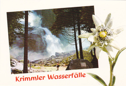 CPM AUTRICHE KRIMMLER WASSERFALLE Blume Im Relief - Krimml