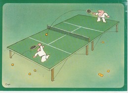 CPSM - Tennis De Table - 057 - Table Tennis