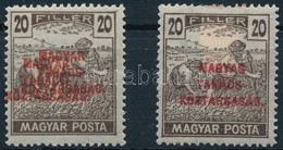 ** 1919 Magyar Tanácsköztársaság 20f Kettős Felülnyomattal (10.000) - Otros & Sin Clasificación