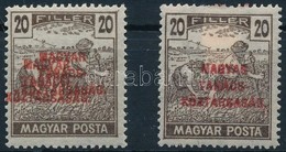 ** 1919 Magyar Tanácsköztársaság 20f Kettős Felülnyomattal (10.000) - Other & Unclassified