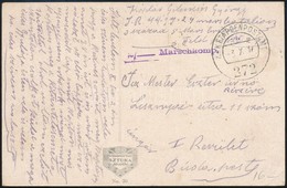 1916 Tábori Posta Képeslap 'EP 272' - Other & Unclassified