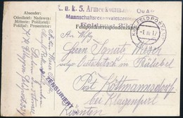 1917 Tábori Posta Levelezőlap / Field Postcard 'K.u.k. 5. Armeekommando Mannschaftsrekonvaleszentenstation' + 'FP 339' - Autres & Non Classés