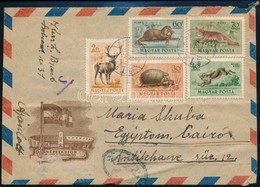 1954 Ajánlott Légi Levél 5 Klf Erdei állatok Bélyeggel Egyiptomba Küldve, érkeztetve, Ritka Destináció! - Other & Unclassified