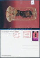 2002 Szent Gellért Ereklyecsontjai 4 Db Képeslap - Autres & Non Classés