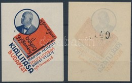 ** 1931/3a + 3b Schmidt Bélyeggyűjtemény Emlékblokk (12.000) - Andere & Zonder Classificatie