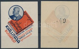 ** 1931/3a + 3b Schmidt Bélyeggyűjtemény Emlékblokk (12.000) - Altri & Non Classificati