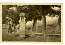 Carte Postale Ancienne Eyguières - Oratoire Sainte Anne Situé Sur La Route De Salon - Eyguieres