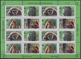 ** 2008 WWF: Majmok Kisív Mi 2062-2065 A - Sonstige & Ohne Zuordnung