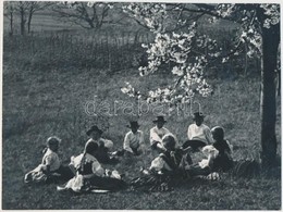Cca 1930 Kerny István (1879-1963): Cseresznye Virágzáskor (Homokmégy), Feliratozott Fotóművészeti Alkotások, Két Egymást - Sonstige & Ohne Zuordnung