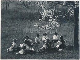 Cca 1930 Kerny István (1879-1963): Cseresznye Virágzáskor (Homokmégy), Feliratozott Fotóművészeti Alkotások, Két Egymást - Otros & Sin Clasificación