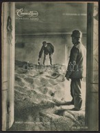 1916. Június 11. Az Érdekes Újság IV. évf. 24. Száma, Benne Számos Fénykép, Cikk Az I. Világháború Katonáiról és Esemény - Altri & Non Classificati