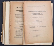 1905-1912 A Magyar Nemzeti Múzeum Néprajzi Osztályának Értesítője. Az 'Ethnographia' Melléklete. VI.,IX-XIII. évfolyamok - Non Classificati