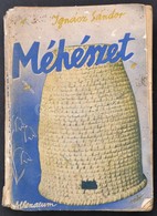 Ignácz Sándor: Méhészet. Gyakorlati Tanácsadó Kezdő és Előrehaladott Méhészek Számára. Bp.,(1939), Athenaeum. Ötödik, át - Zonder Classificatie