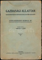 Gazdasági állattan. Egyetemi Mezőgazdasági Hallgatók Számára. Összeáll.: Urbányi Jenő. Dr. Schilberszky Károly. Bp.,1926 - Zonder Classificatie