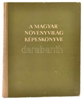 Vajda Ernő: A Magyar Növényvilág Képeskönyve. Bp.,1956, Művelt Nép. Fekete-fehér Képekkel Illusztrált. Kiadói Kissé Kopo - Non Classés