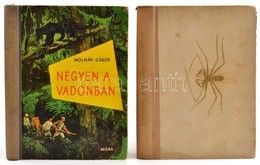 Vegyes Könyvtétel, 2 Db: Molnár Gábor: Kalandok A Brazíziliai őserdőben. Vadász, és Gyűjtőuton Észak-Brazília ősvadonjáb - Zonder Classificatie