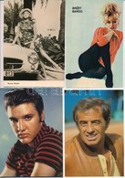 ** * 7 Db MODERN Híres Ember Motívumlap: Brigitte Bardot, Elvis Presley, Jean-Paul Belmondo, Alice Faye, Hanne Wieder /  - Zonder Classificatie