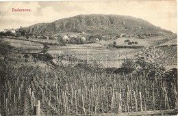 ** T2/T3 Badacsony, Szőlőhegy. Mérei Ignác 560. Sz. 1908. (EK) - Ohne Zuordnung