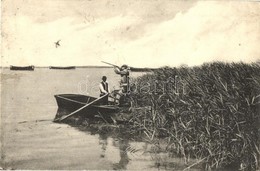 T2/T3 Balaton, Vadkacsa Vadászat A Balatonon (EK) - Ohne Zuordnung