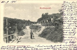 T2 1901 Budapest XII. Svábhegy, Fogaskerekű Vasút Gőzmozdonnyal, úr Esernyővel - Unclassified