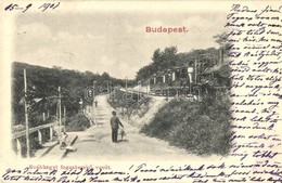 T2 1901 Budapest XII. Svábhegy, Fogaskerekű Vasút Gőzmozdonnyal, úr Esernyővel - Ohne Zuordnung