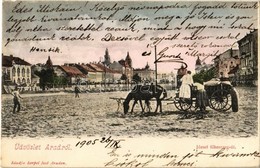 T2 1905 Arad, József Főherceg út, Lovasszekér / Street With Horse Cart - Ohne Zuordnung