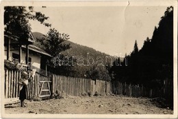 T2/T3 1944 Borsabánya, Baile Borsa; Máramarosi Kárpátok / Muntii Maramuresului / Mountain Range (apró Szakadás / Tiny Te - Unclassified