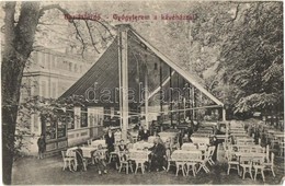 T3 Buziásfürdő, Baile Buzias; Gyógyterem A Kávéházzal. Francz  József Kiadása / Cafe Garden With Spa (EM) - Ohne Zuordnung