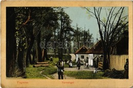 T2/T3 1913 Fogaras, Fagaras; Városliget. Thierfeld Dávid Kiadása / Park (fl) - Ohne Zuordnung