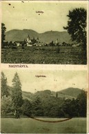T2/T3 1916 Nagybánya, Baia Mare; Látkép, Liget. Kiadja Kovács Gyula / General View, Park (fl) - Ohne Zuordnung
