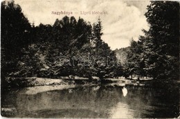 * T3 1921 Nagybánya, Baia Mare; Ligeti Tó / Park, Lake (Rb) - Ohne Zuordnung