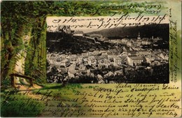 T2/T3 1901 Segesvár, Schässburg, Sighisoara; Fritz Teutsch Kiadása, Erdős Litho Keret / Forest Litho  (EK) - Ohne Zuordnung