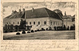 T2/T3 1906 Nagylévárd, Velké Leváre; Gróf Wenckheim Kastély / Castle (EK) - Ohne Zuordnung