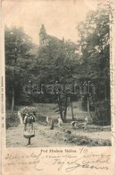 T3 1899 Hrubá Skála, Street View With Castle (wet Corner) - Non Classificati