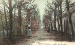 * T2 Aubigny-sur-Nere; Allée De Soupirs / Alley - Unclassified