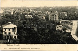 ** T2 Dresden, Weisser Hirsch. Vom Turm Des Louisenhof Gesehen / General View - Zonder Classificatie