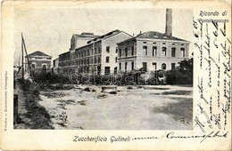 T2/T3 1905 Pontelagoscuro (Ferrara), Zuccherificio Gulinelli. Editrice Zammariotti Giuseppina /  Sugar Factory  (EK) - Zonder Classificatie