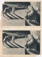 ** 2 Db RÉGI Sérült Irredenta Művészlap / 2 Pre-1945 Badly Damaged Hungarian Irredenta Art Postcards - Unclassified