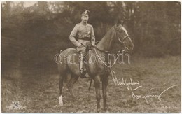 ** T3 Wilhelm, German Crown Prince On Horse (Rb) - Ohne Zuordnung