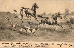 T4 Horses And Dogs, M. Munk No. 222 (r) - Non Classificati