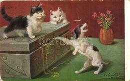 T3 Cats With Dog, Peluba 105. Artist Signed (EB) - Non Classés