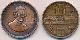 Lapis András (1942-) 1988. 'Szegedi Somogyi Károly Könyvtár Avatásának 100. évfordulója' Br Emlékérem (42,5mm) + Lapis A - Zonder Classificatie