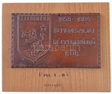 1984. 'Celldömölk - 1959-1984 Kemenesaljai Bélyeggyűjtő Kör' Egyoldalas Br Plakett, Fa Talpra Erősítve (129x79mm) T:2 - Ohne Zuordnung