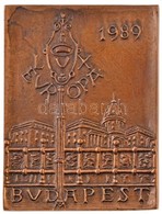 1989. 'Budapest - Európa - 1989' Egyoldalas öntött Br Plakett (109x82mm) T:1- - Ohne Zuordnung